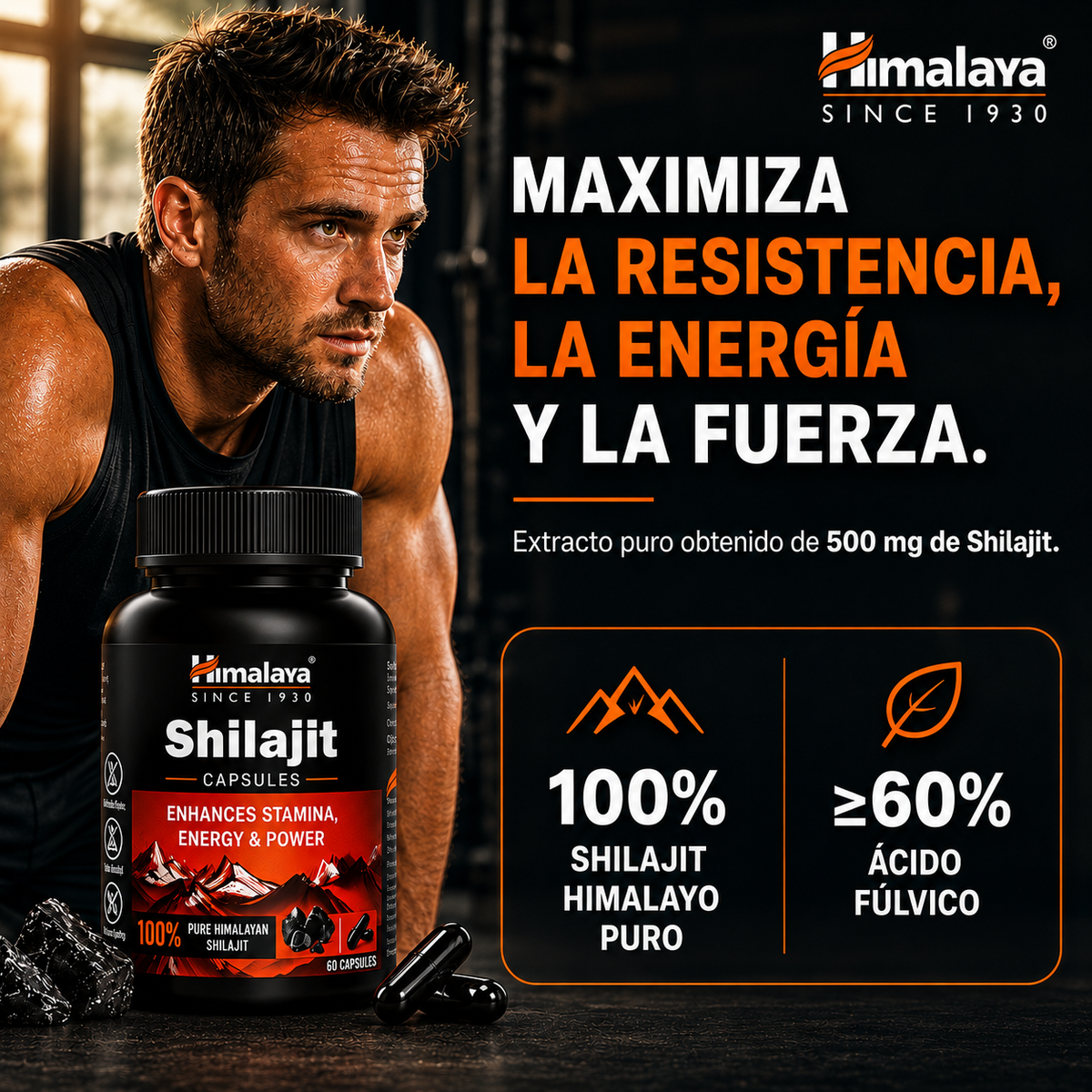 Shilajit Cápsulas · Himalaya · 60 cápsulas