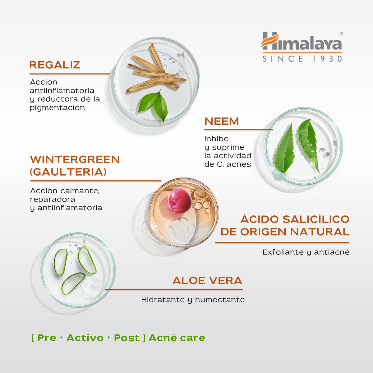 Acne Clear+ Gel Hidratante · Himalaya · 50 ml