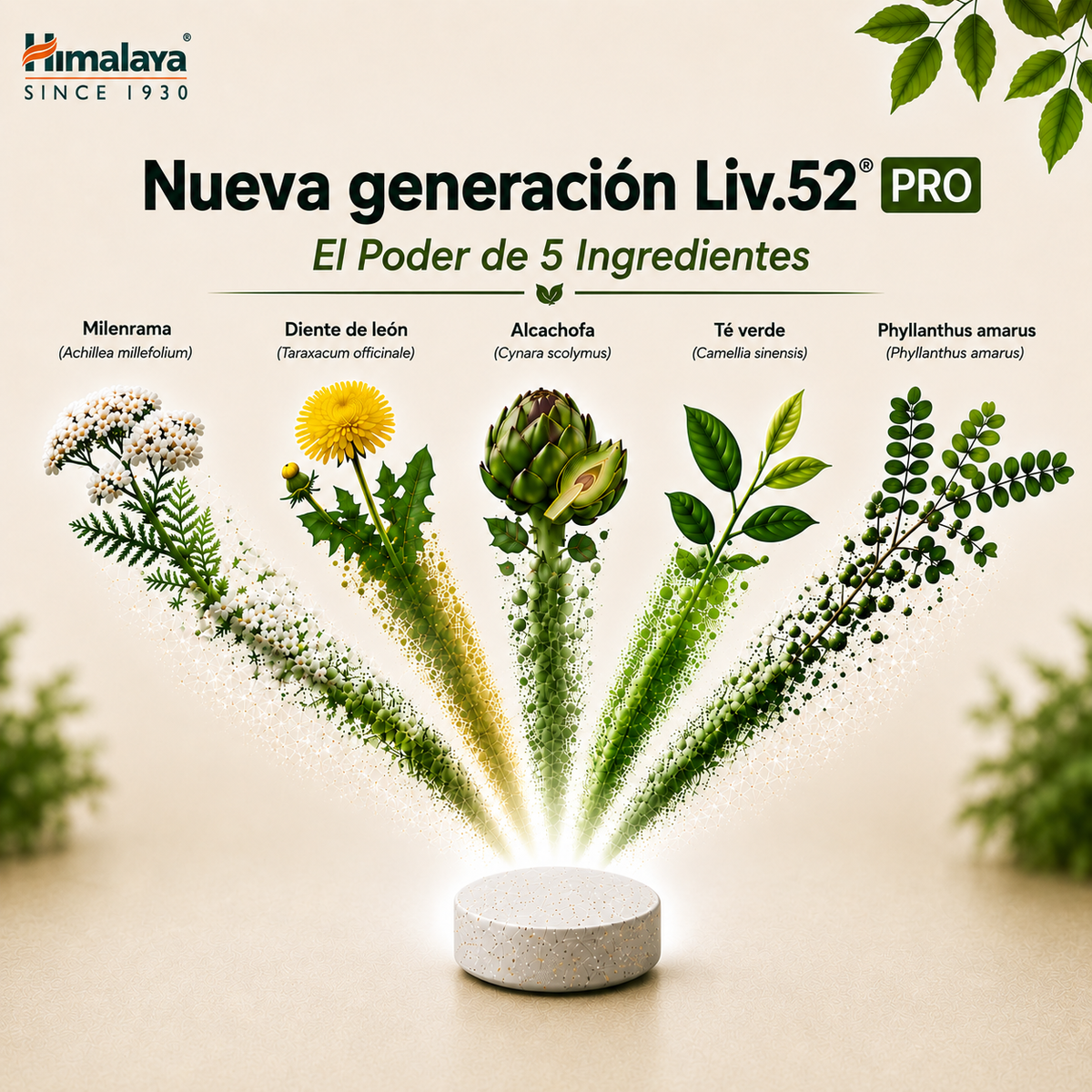 Liv.52 DS PRO · Himalaya · 60 comprimidos