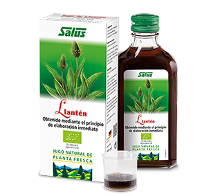 Jugo de Llantén Bio · Salus · 200 ml