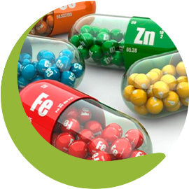 Oligoelementos