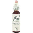 Hornbeam nº 17 · Bach · 20 ml