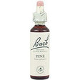 Pine nº 24 · Bach · 20 ml