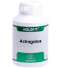 Holofit Astragalus · Equisalud · 180 cápsulas