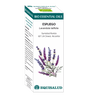 Bio Essential Oil Espliego · Equisalud · 10 ml
