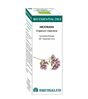 Bio Essential Oil Mejorana · Equisalud · 10 ml