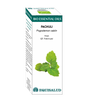 Bio Essential Oil Pachuli · Equisalud · 10 ml
