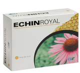 Echin Royal · CFN · 20 sticks
