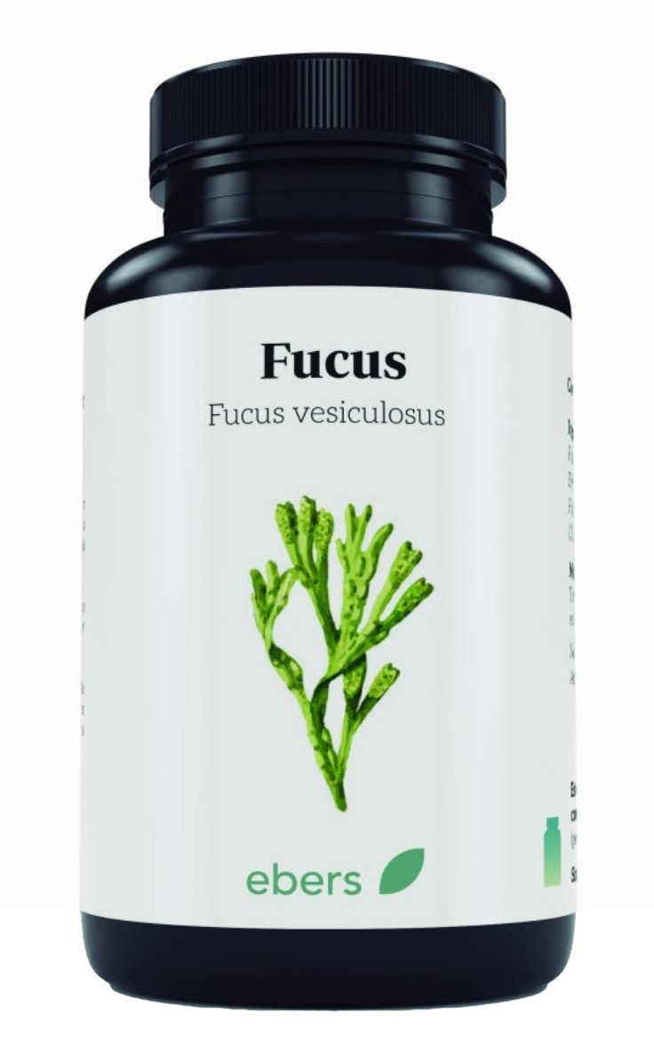 Fucus · Ebers · 100 comprimidos