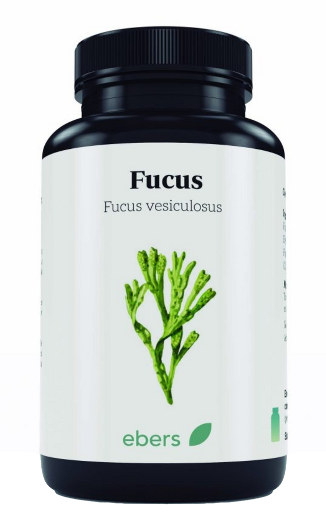 Fucus · Ebers · 100 comprimidos
