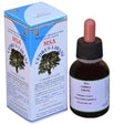 MSA Cedrus Libani · Herboplanet · 50 ml