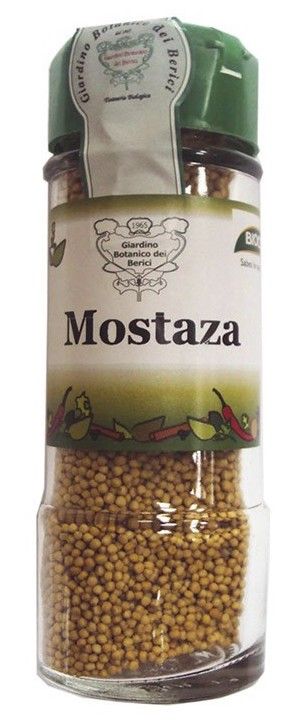 Mostaza en Grano · Biocop · 60 gramos