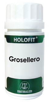 Holofit Grosellero · Equisalud · 60 cápsulas