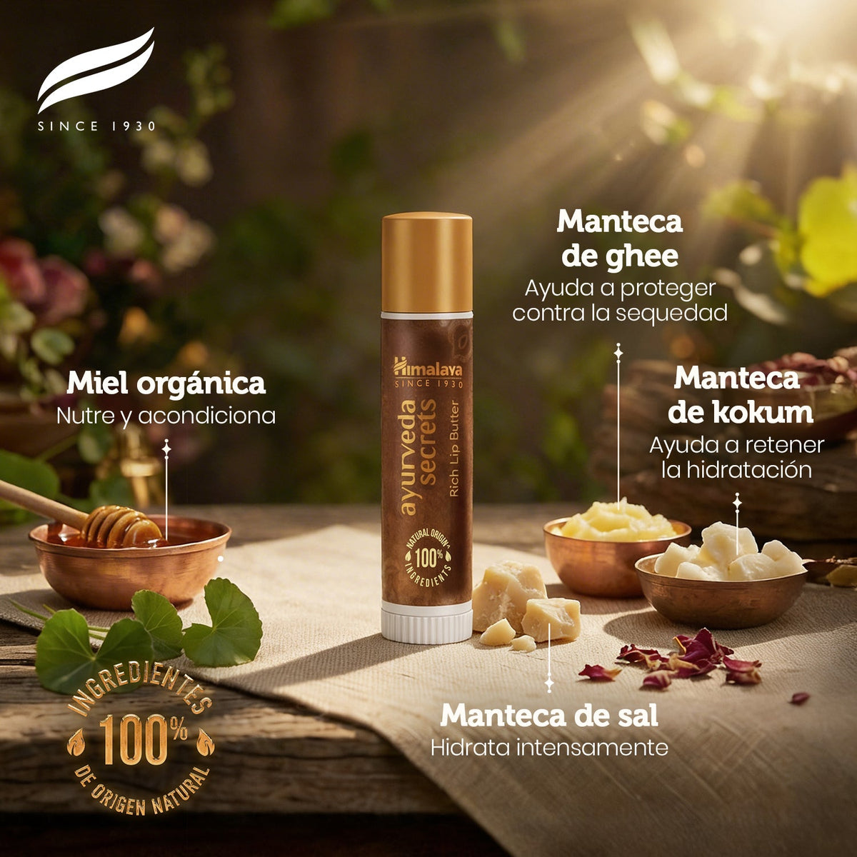 Ayurveda Secrets Rich Lip Butter · Himalaya · 4 gramos